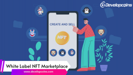 White Label NFT Marketplace.png