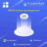 bep20-token-development-(1)-cryptoape.jpg