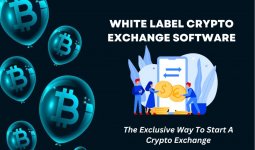 White-label-crypto-exchange-software.jpg