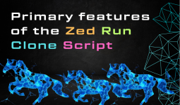 Zed Run Clone Script color.png