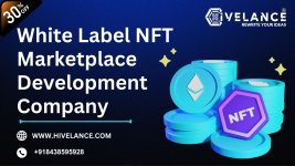 White Label NFT Marketplace Development Company.jpg
