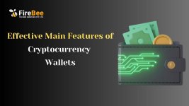 Effective Main Features of Cryptocurrency  Wallets.jpg