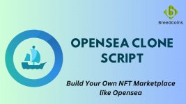 OpenSea Clone Script (3).jpg