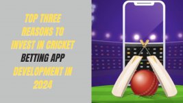 Top Three Reasons To Invest in Cricket Betting App Development in 2024.jpg