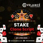 Stake Clone Script 1.jpg