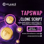 Tapswap clone script.jpg