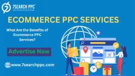 What Are the Benefits of Ecommerce PPC Services (1).png