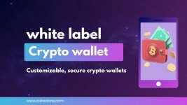 _Evolution and Growth of White Label Crypto Wallet.jpg