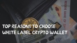 Top Reasons to Choose White Label Crypto Wallet.jpg